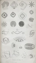 Plate II from 